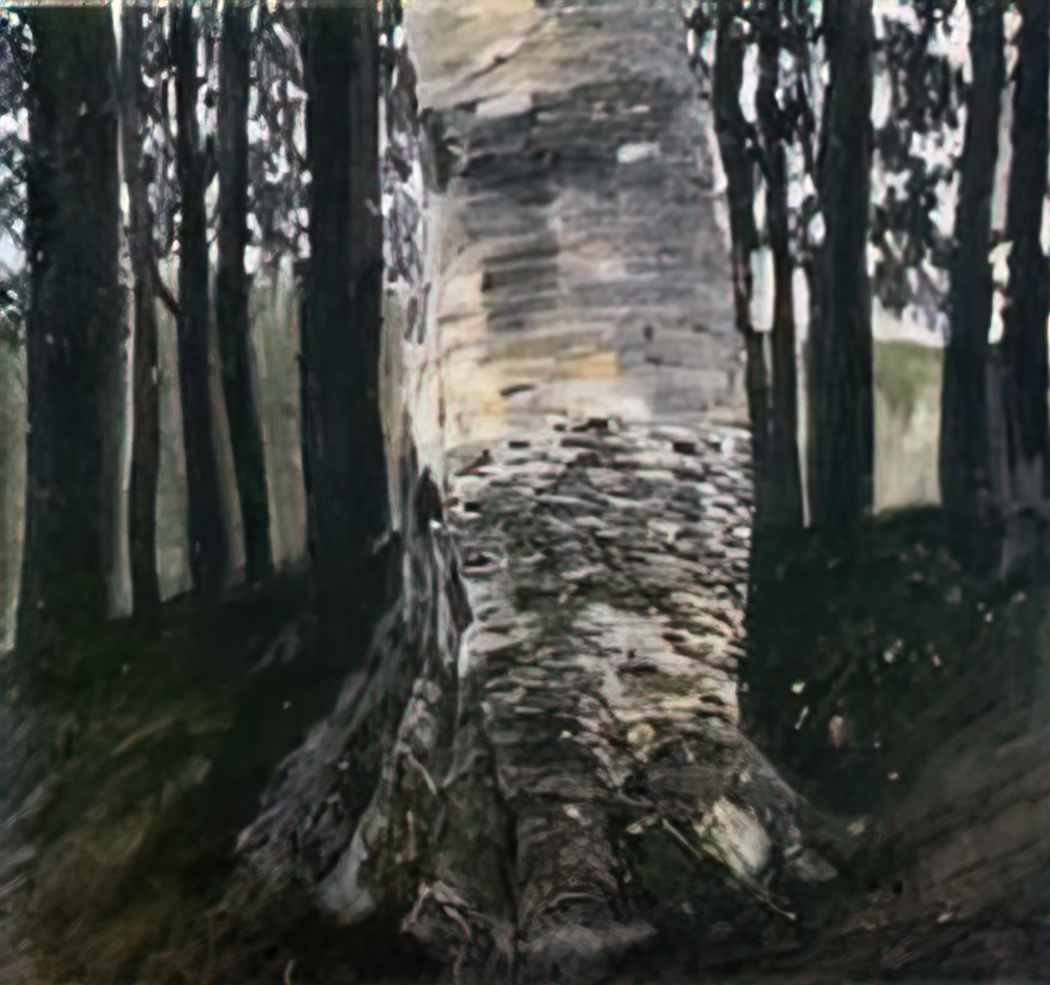 Gustav Klimt birch in a forest Art A4 Photo Print UK