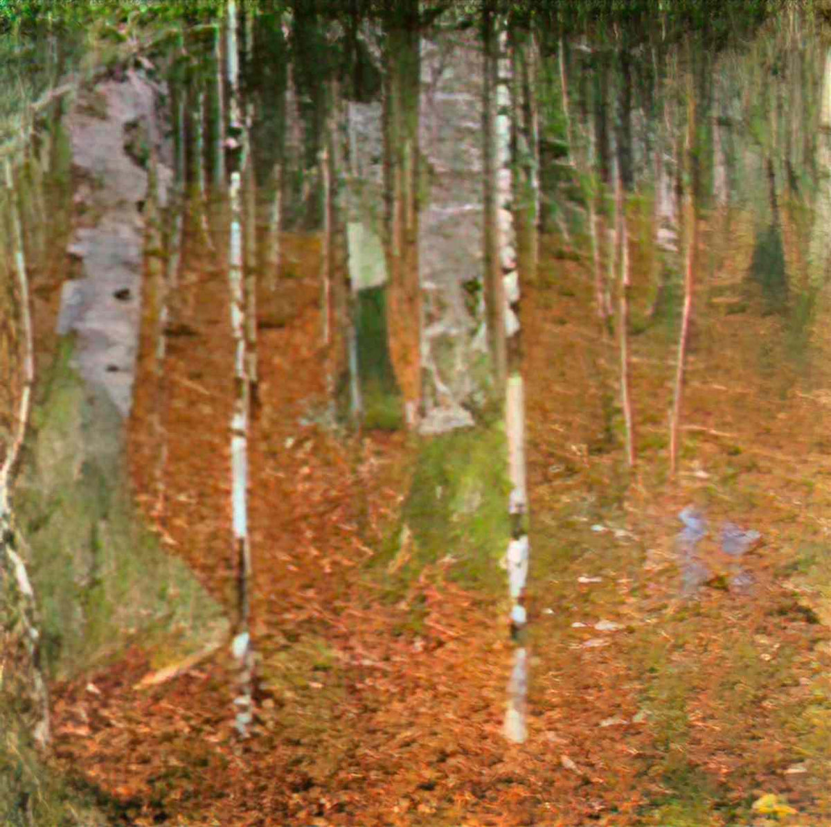 Gustav Klimt farmhouse with birch trees 1903 Art A4 Photo Print