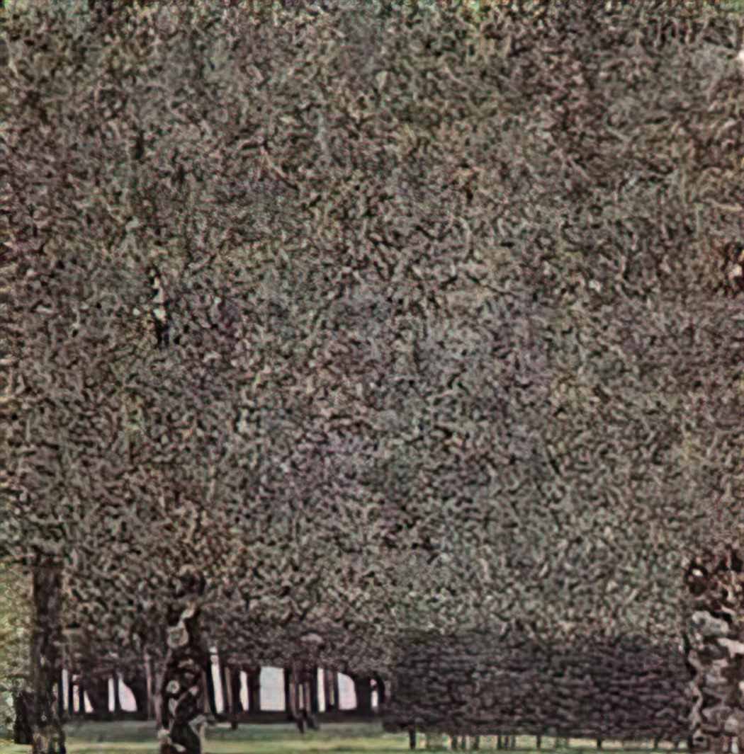 Gustav Klimt park 1910 Art A4 Photo Print UK