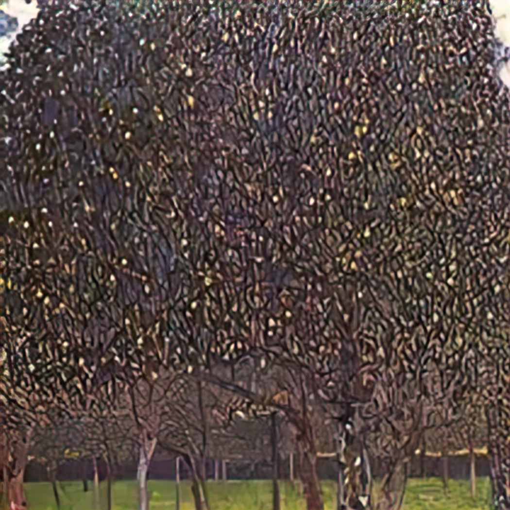 Gustav Klimt pear tree 1903 Art A4 Photo Print UK