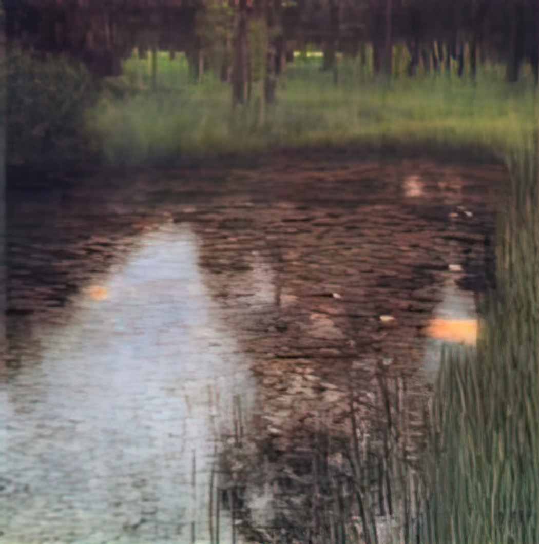 Gustav Klimt the swamp 1900 Art A4 Photo Print UK