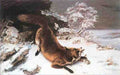 Gustave Courbet The Fox In The Snow 5 A4 Photo Print
