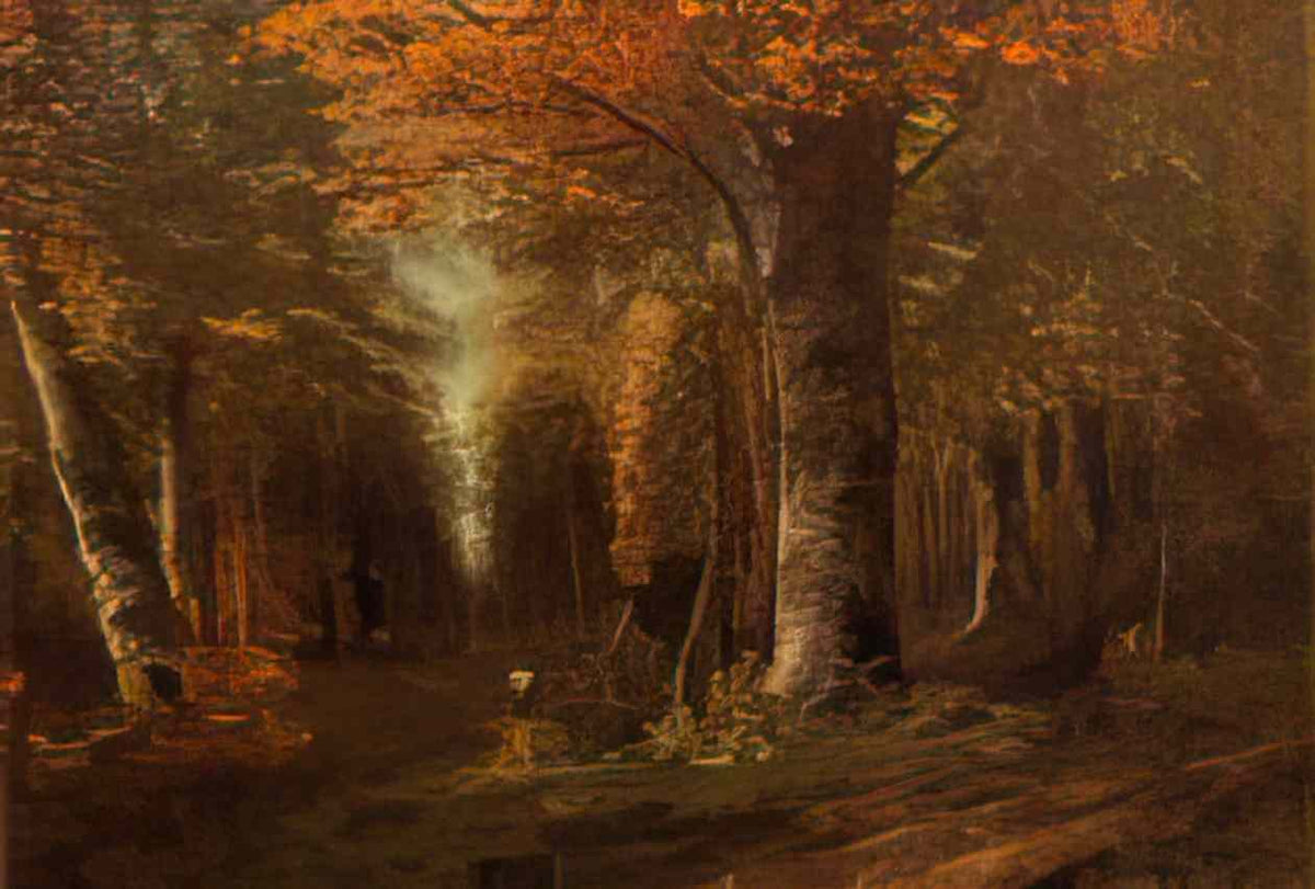 Gustave Courbet the forest in autumn 1841 Art A4 Photo Print