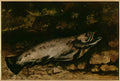 Gustave Courbet the trout 1873 Art A4 Photo Print
