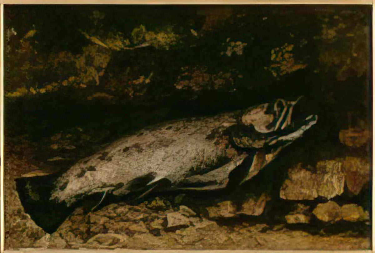 Gustave Courbet the trout 1873 Art A4 Photo Print