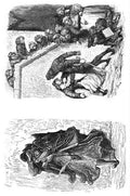 Gustave Dore Gargantua Pantagruel 125 Vintage Illustration A4 Photo Print