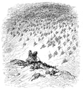 Gustave Dore Orlando Furioso 171 Vintage Illustration A4 Photo Print