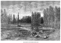 Gustave Dore Spain 153 Vintage Illustration A4 Photo Print