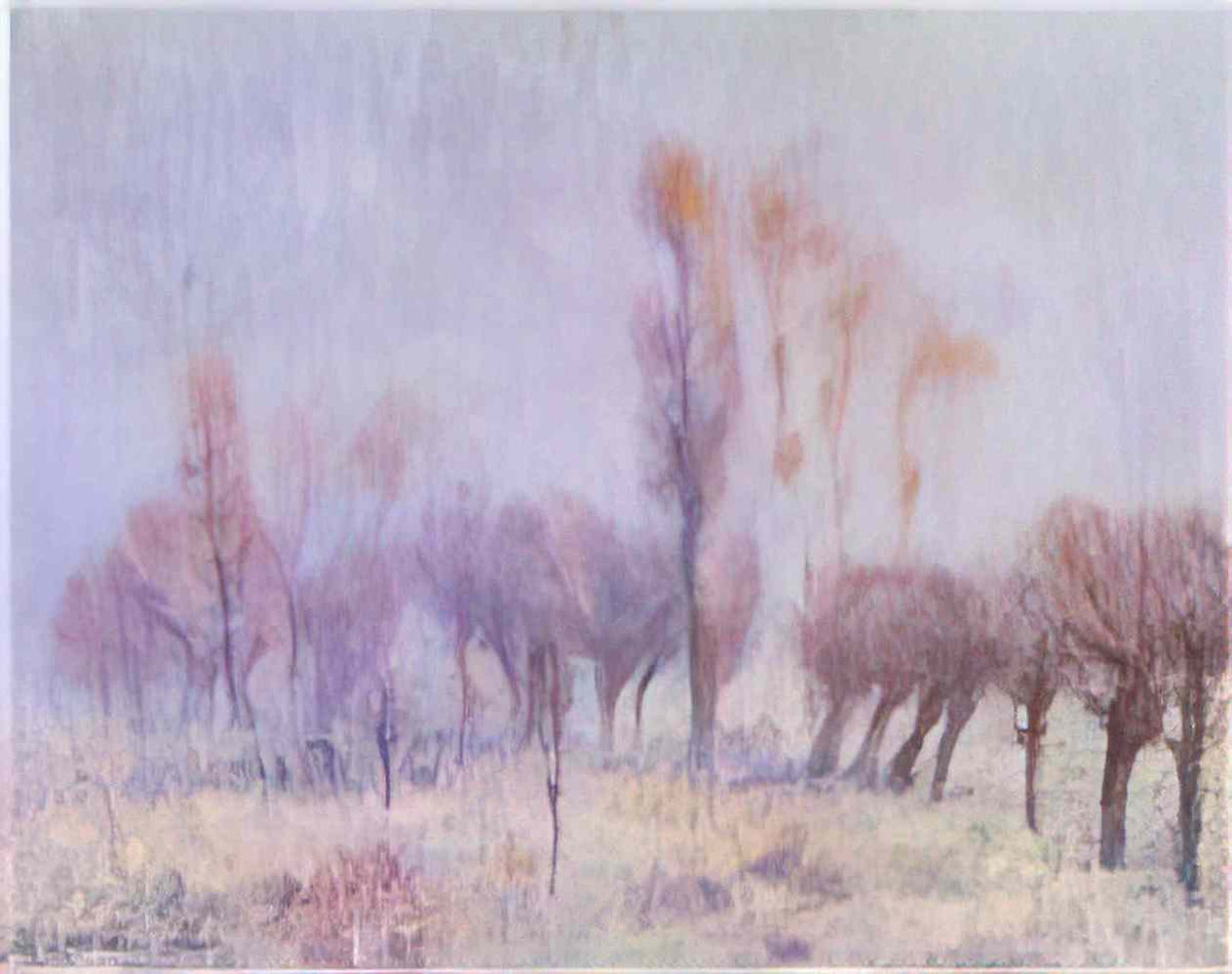 Gustave Loiseau willows in fog 1915 Art A4 Photo Print