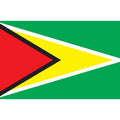 Guyana Flag N1816 A4 Photo Print