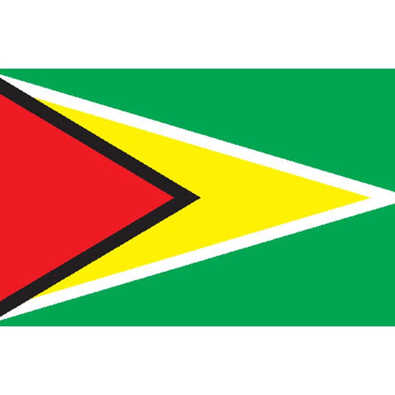 Guyana Flag N1816 A4 Photo Print