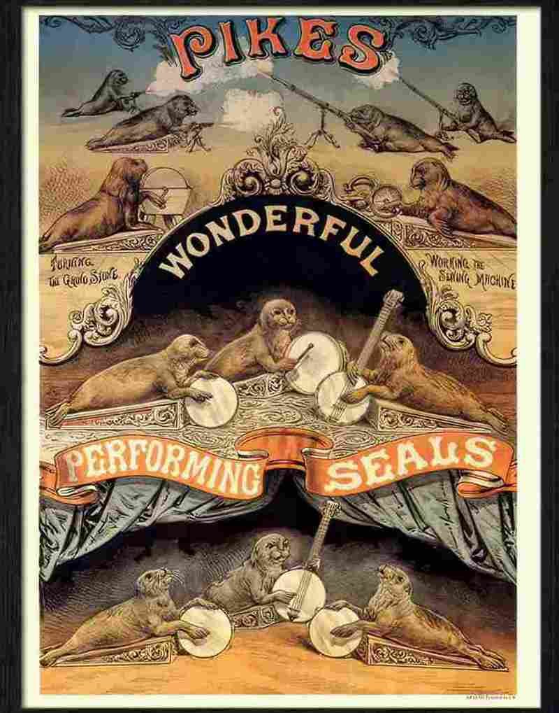 H pikes wonderful performing seals Advert A4 Photo Print