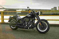 HARLEY DAVIDSON Fat Boy S 8383 3 Car A4 Photo Print