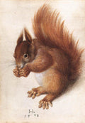 HOFFMANN Hans Squirrel Art A4 Photo Print UK