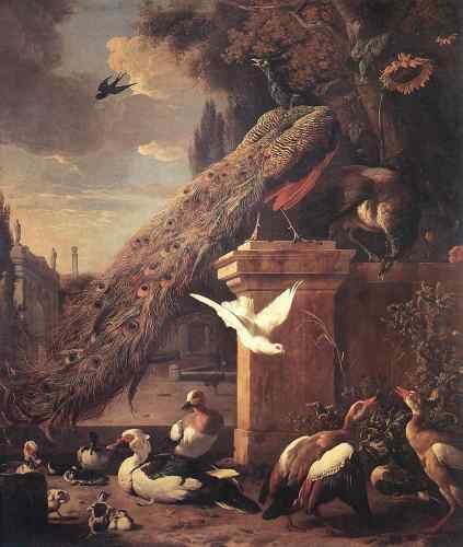 HONDECOETER Melchior d Peacocks And Ducks  A4 Photo Print