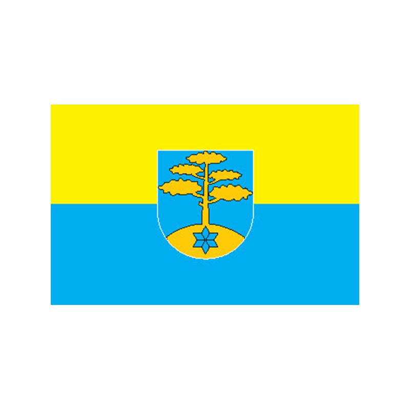 Haaslava Vald Flag N2456 A4 Photo Print