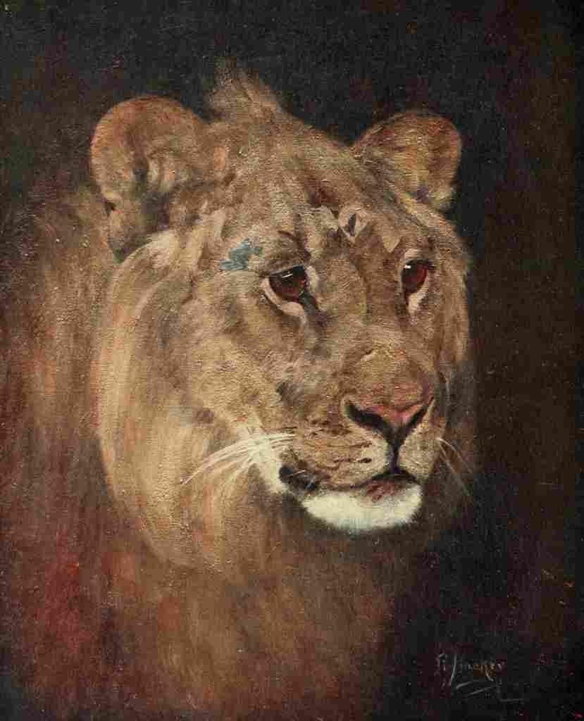 Hacker Miss R From Cape to Cairo 1900 Lion cub A4 Photo Print