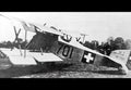 Hafeli Dh4 Biplane Fighter Prototype Switzerland A4 Photo Print