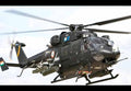 Hal Rudra Attack Helicopter India A4 Photo Print