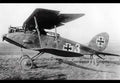 Halberstadt Clii Ground Attack Aircraft German Empire A4 Photo Print