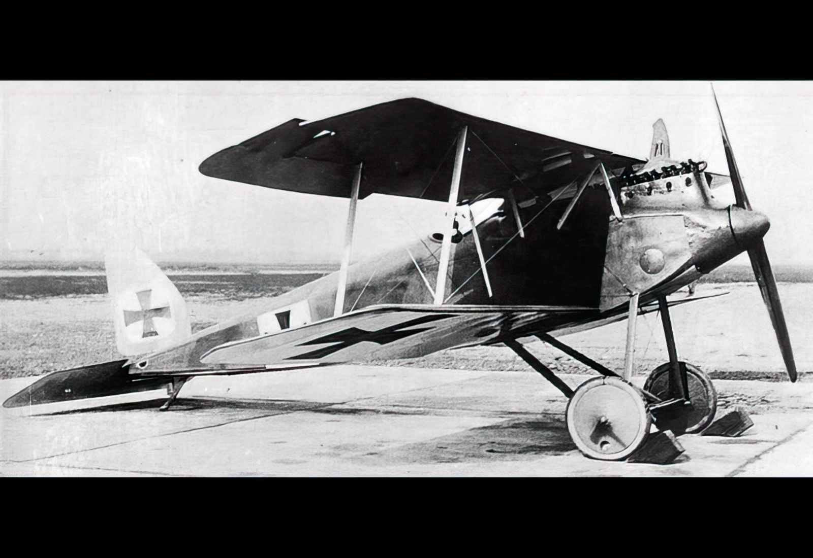 Halberstadt Div Biplane Fighter Prototype German Empire A4 Photo Print
