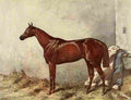 Hall Harry 1908 Hermit A4 Photo Print