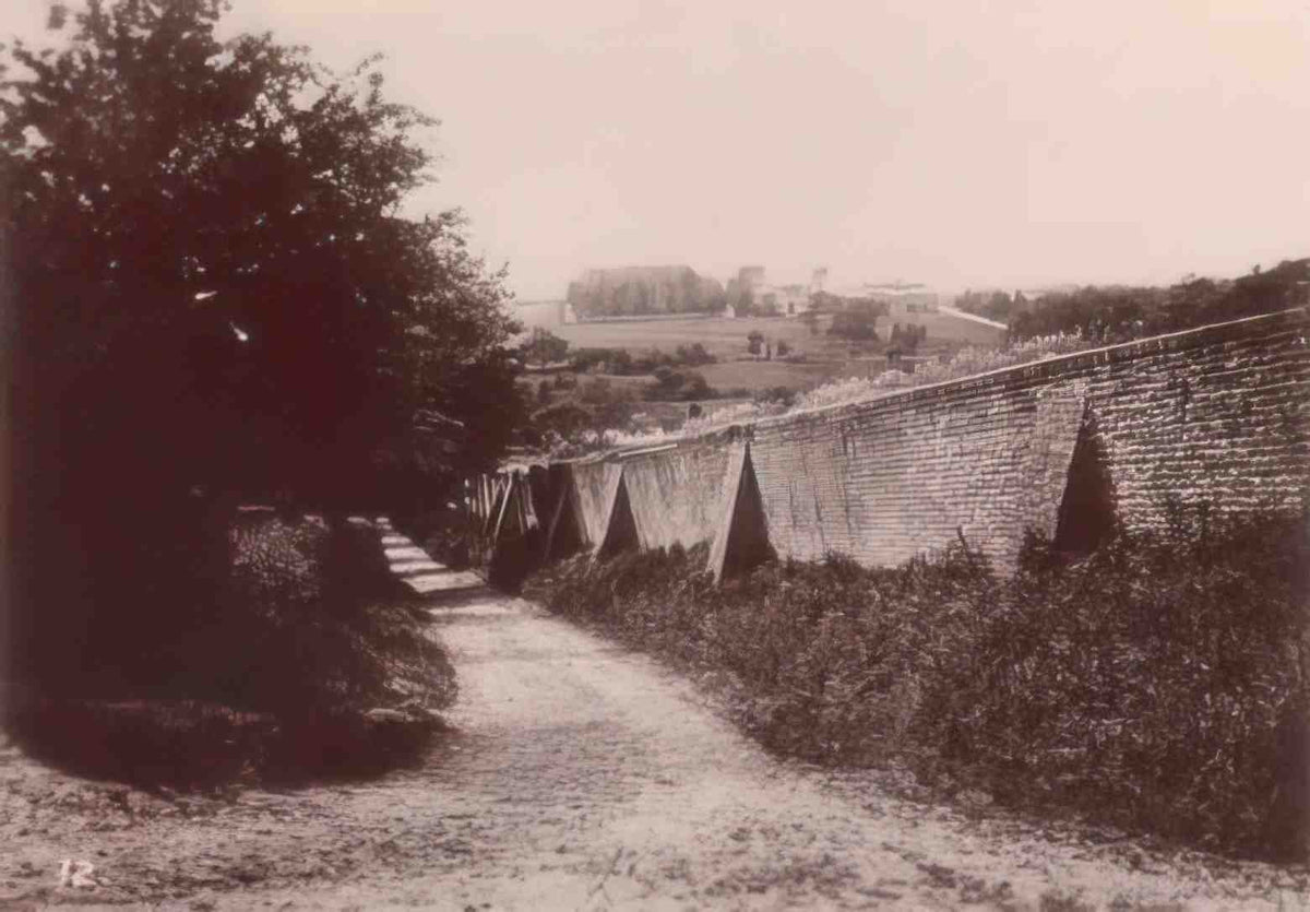 Hampshire Bishops Waltham New Town from Bishops Waltham Vintage A4 Photo Print
