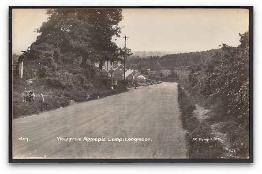 Hampshire Longmoor View From Applepie Military Camp Down Road Vintage A4 Photo Print