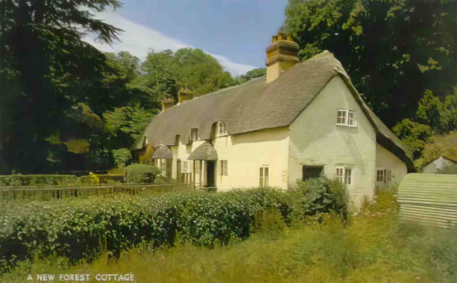 Hampshire New Forest Cottage Vintage A4 Photo Print