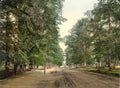 Hampshire Southampton The Avenue Vintage A4 Photo Print
