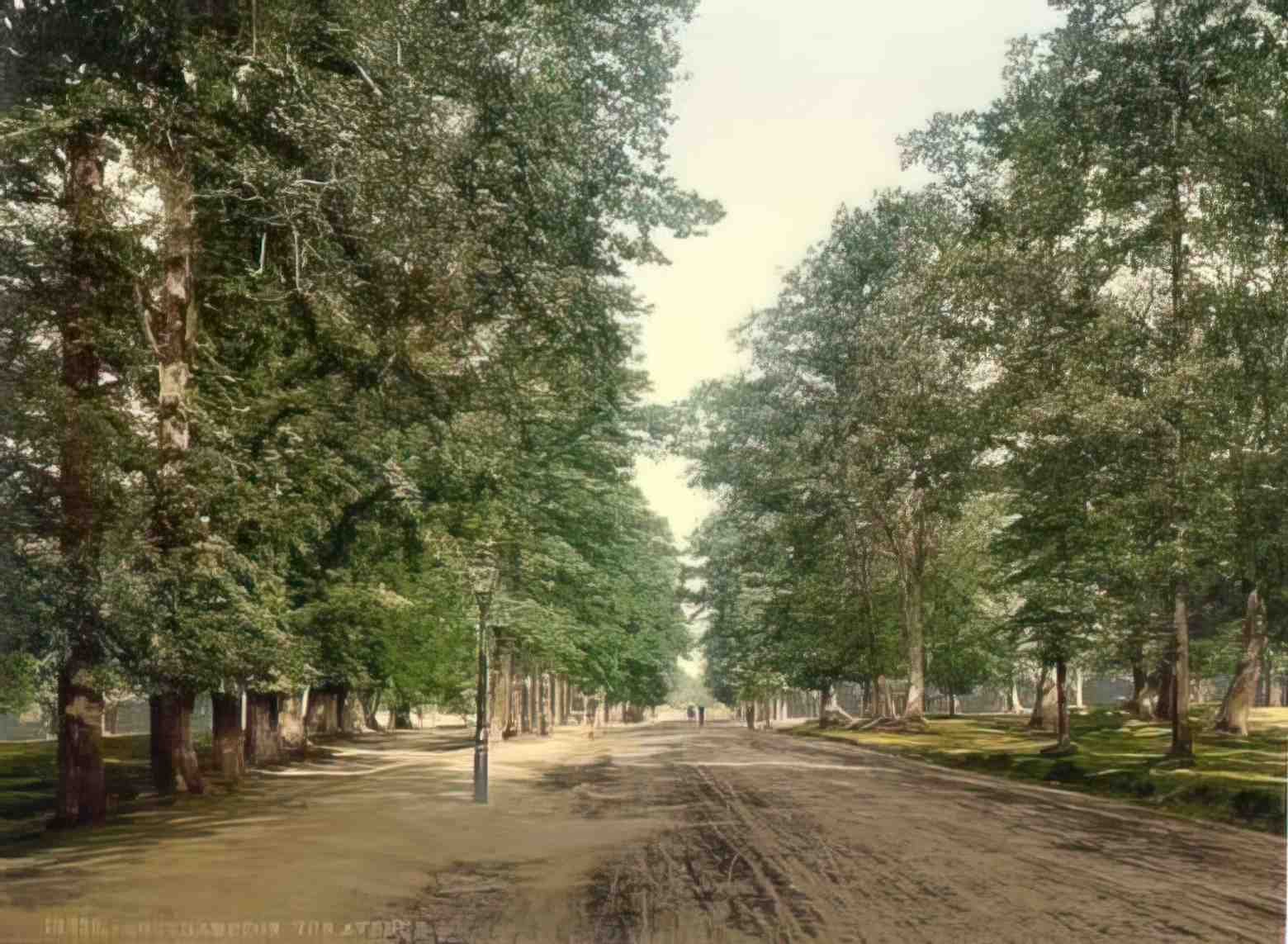 Hampshire Southampton The Avenue Vintage A4 Photo Print