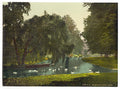 Hampton Court Park London and suburbs Vintage A4 Photo Print