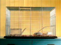 Hamster Cage Habitat 1990s Vintage Retro Advert