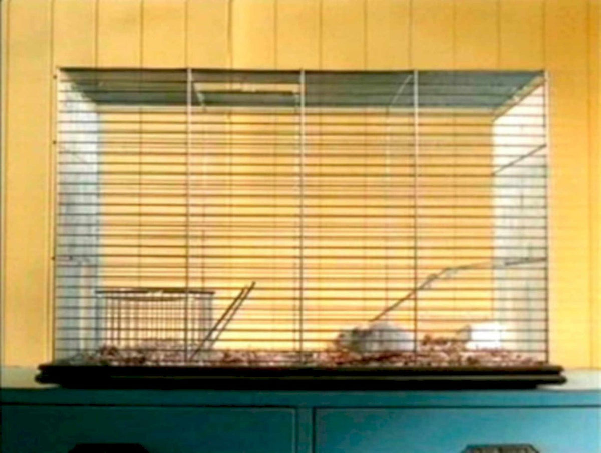 Hamster Cage Habitat 1990s Vintage Retro Advert