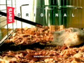 Hamster Cage Levis 1990s Vintage Retro Advert