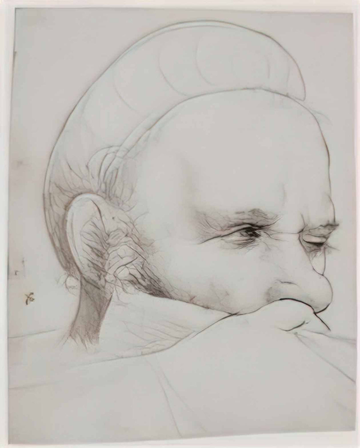 Hans Holbein the Elder hans holbein the elder the head of a crossbowm Art A4 Photo Print