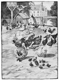 Hans Tegner Page 018 Fairy Art Vintage Illustration A4 Photo Print