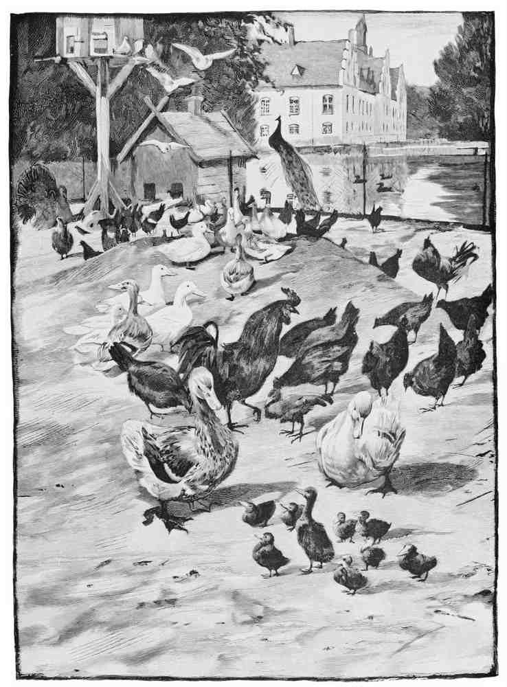 Hans Tegner Page 018 Fairy Art Vintage Illustration A4 Photo Print