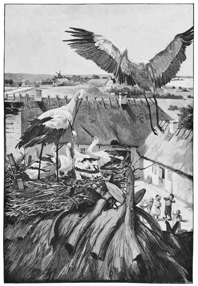 Hans Tegner Page 021 Fairy Art Vintage Illustration A4 Photo Print