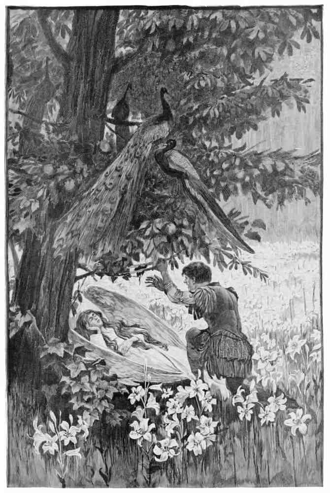 Hans Tegner Page 037 Fairy Art Vintage Illustration A4 Photo Print