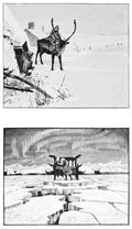 Hans Tegner Page 048 Fairy Art Vintage Illustration A4 Photo Print