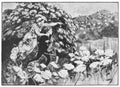 Hans Tegner Page 063 Fairy Art Vintage Illustration A4 Photo Print