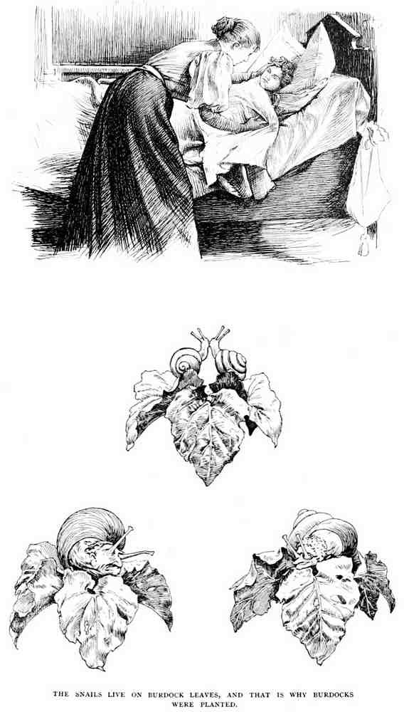 Hans Tegner Page 086 Fairy Art Vintage Illustration A4 Photo Print