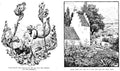 Hans Tegner Page 106 Fairy Art Vintage Illustration A4 Photo Print
