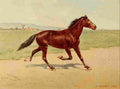 Hansen Herman 1910 A Distant Call A4 Photo Print