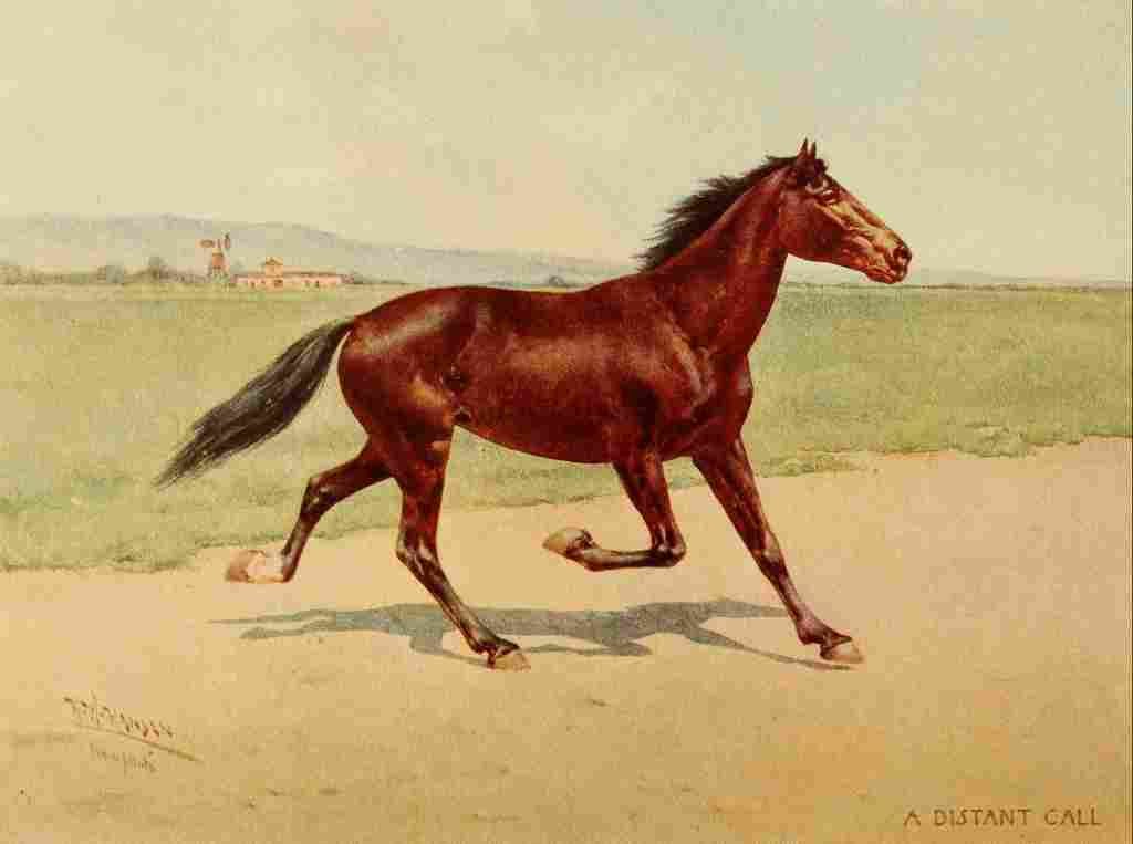 Hansen Herman 1910 A Distant Call A4 Photo Print