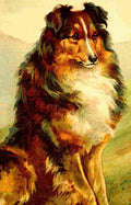 Hardy E Stuart 1865 1935 Dog Tales Collie A4 Photo Print