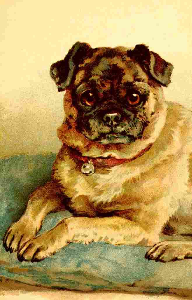 Hardy E Stuart 1865 1935 Dog Tales Pug A4 Photo Print