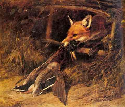 Hardy Heywood Returning To The Foxs Lair A4 Photo Print