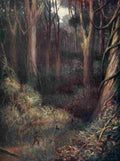 Hardy Norman 1912 The Equatorial Forest A4 Photo Print